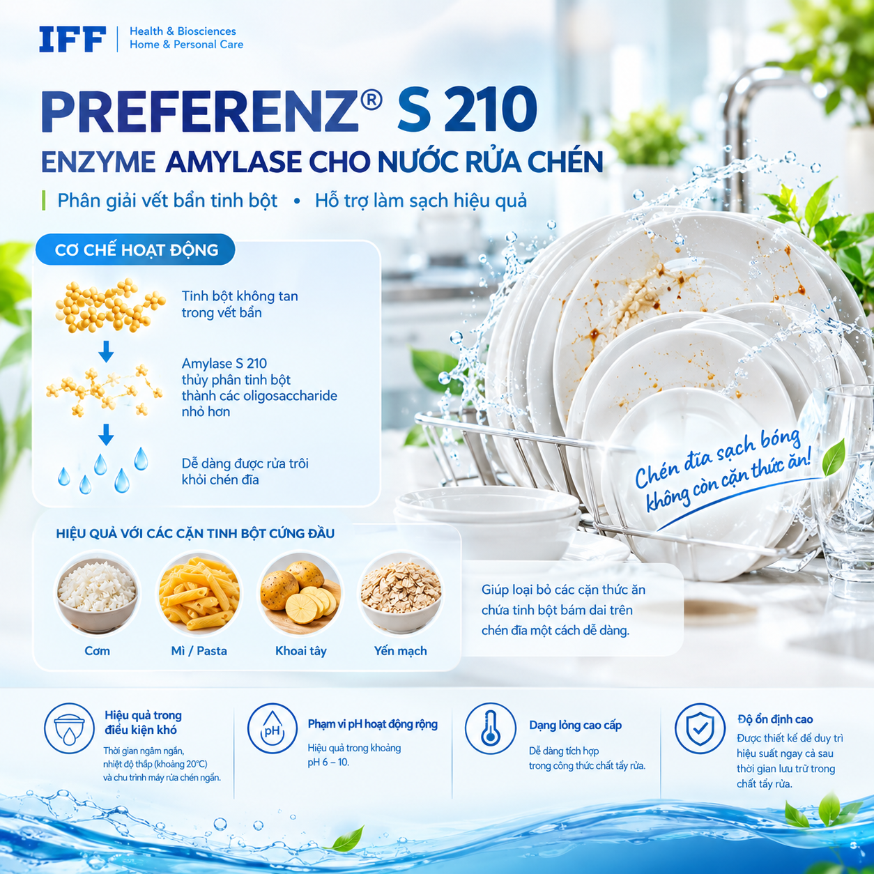 Enzyme Amylase S210-Enzyme cho nước rửa chén bát